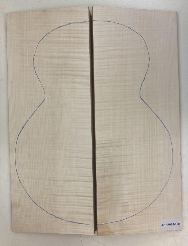 Boden & Zargen Ahorn, europ. Archtop Einzelstück #020